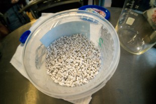 Испытания на животных: дорожные реагенты не вызывают раздражающего действия