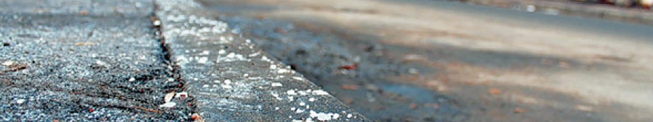 Мосгордума обсудила скользкую тему