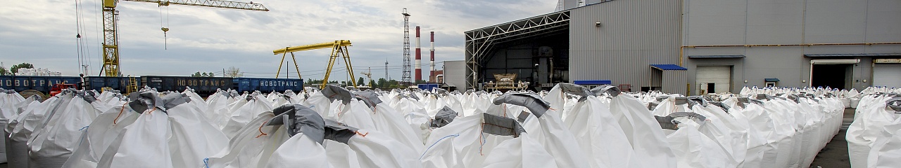 Центр Перми отдадут «Бионорду»